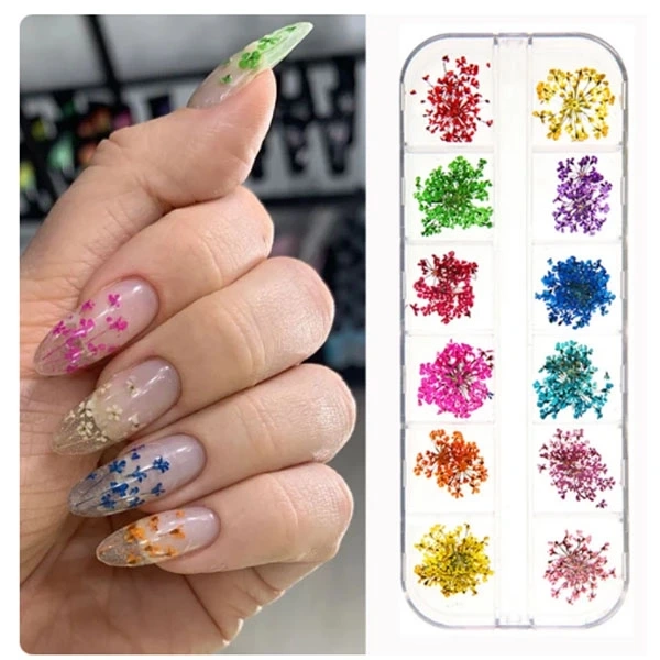 Nail art komplet, 12 kos - suho cvetje 5 g