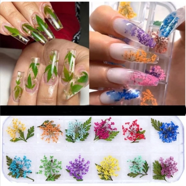 Nail art komplet, 12 kos - suho cvetje